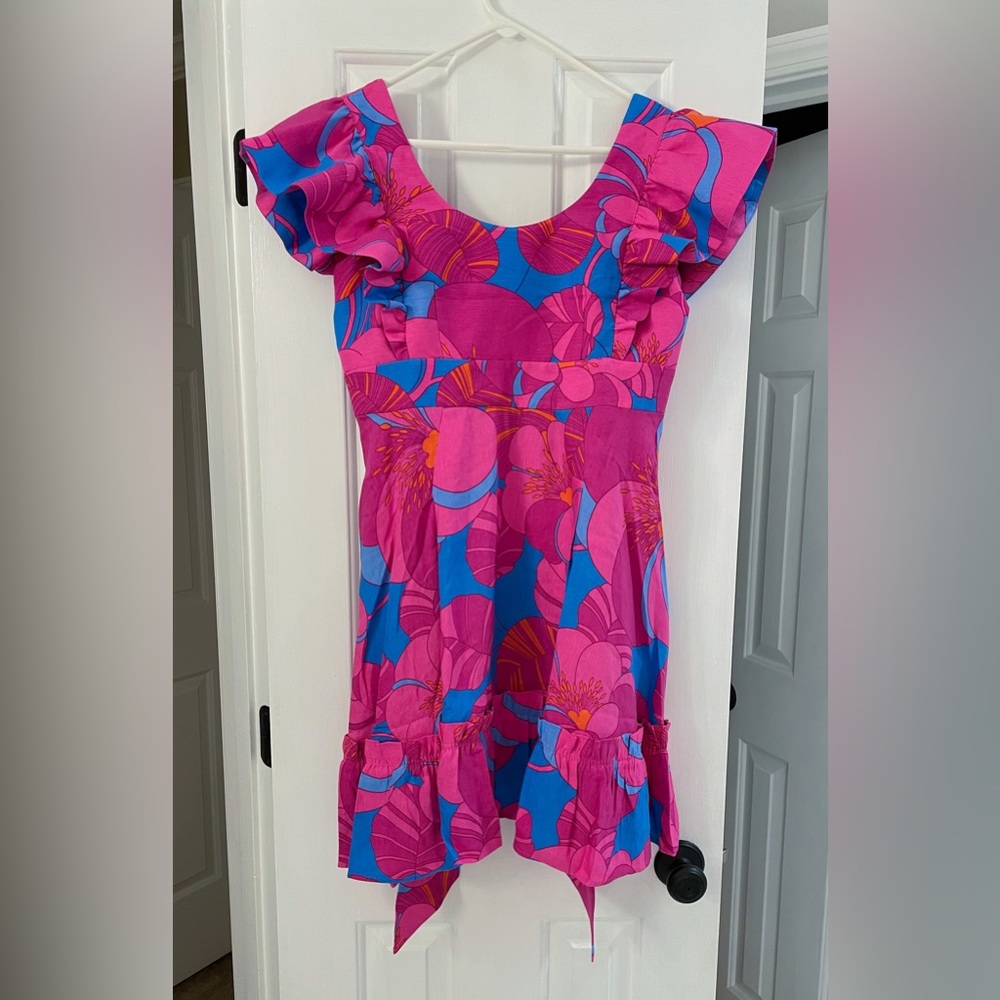 Tuckernuck x Cameran Eubanks Wimberly dress